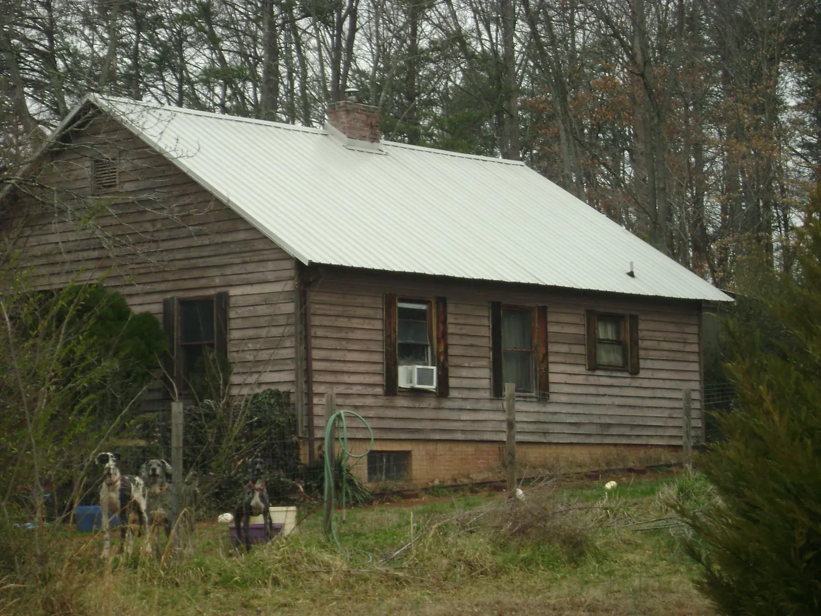White metal roof on an old wood sided farmhouse, from a Asphalt Shingle Roof Repair job in Sterling